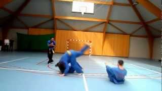 Démonstration Vovinam Viet Vo Dao Bousies [upl. by Bettye]