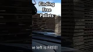 How and where to find free pallets [upl. by Swetiana488]