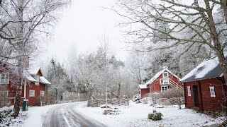 ▷ MY LITTLE VILLAGE IN THE SWEDISH COUNTRYSIDE [upl. by Aynor]