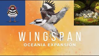 Wingspan Oceania  Thats Why Its Called Killdeer [upl. by Bloch920]