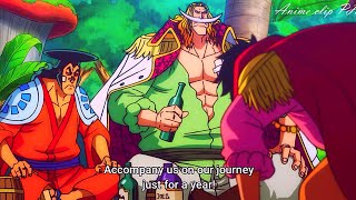 Gol D Roger Wants Oden To Join His Crew And Roger Bowed To Whitebeard  One Piece 966 English Sub [upl. by Amilb339]