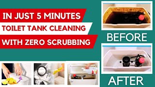 How to Keep a Toilet Tank Clean Without ScrubbingEasily In Just 5 Minutes [upl. by Moneta215]