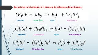 PRODUCCIÓN DE METILAMINAS MONO DI Y TRI [upl. by Selig108]