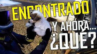 RESCATAMOS a un PERRITO de una muerte segura😮 [upl. by Ignaz]