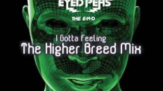 Black Eyed Peas  I Gotta Feeling The Higher Breed Mix [upl. by Edlyn]