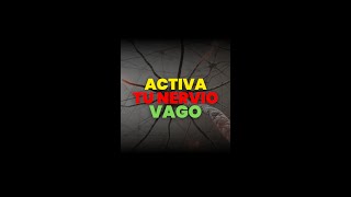 ACTIVA tu NERVIO VAGO para MEJORAR tu SALUD [upl. by Arnst]