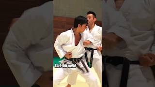 Bunkai of heian sandan kata by Naka Sensei🥋 [upl. by Heck750]