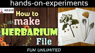 How to make herbarium file  Very interesting science experiments to do at home  fun unlimited [upl. by Ferreby]