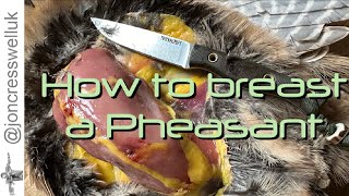 The BEST way to breast a Pheasant [upl. by Brahear]