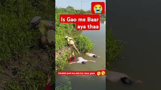 Is gao me baar aya thagao ki sabhi jib jantu dub kar maar 😭🥱🫣 gayayoutube Shortsviral [upl. by Eniamraj]