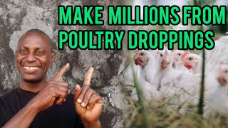 How I Made Millions from Poultry Droppings Alone Last December – Can It Happen Again [upl. by Sadnalor]