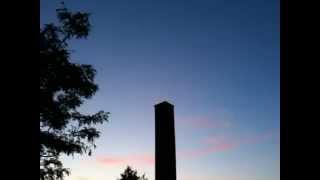 Chimney swifts in Wolfville [upl. by Akers]