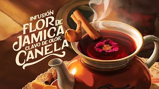 Infusión de Flor de Jamaica Canela y Clavo de Olor Beneficios para la Salud y Cómo Prepararla [upl. by Rakso]