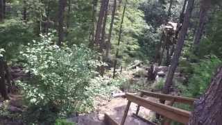 Zip Line In Skagway Alaska during Princess Cruise [upl. by Gayel]