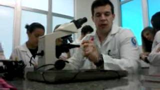 aula de hematologia clínica  Diferenciação de Leucemias Prof Matias Frizzo [upl. by Player]