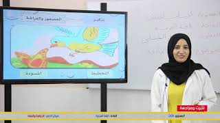 الثالث الابتدائي الانتاج الكتابي  الحمامة والنملة  تثبيت ومراجعة  اللغة العربية منصة tilmid Tice [upl. by Zosima]