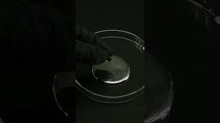 Experimenting with Mercury  The Liquid Metal [upl. by Akins]