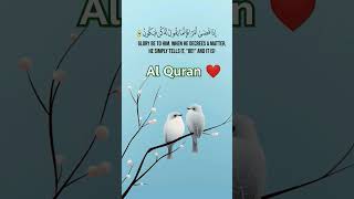 Al Quran ❤️ urdu translation💓 [upl. by Orthman]