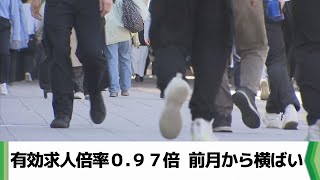 千葉県の有効求人倍率０．９７倍 前月から横ばい 「持ち直しの動きに弱み」（20240628放送） [upl. by Peednus]