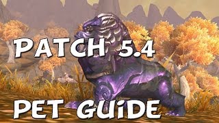 Wow Guide To Taming Portent Aka Armored Quilen Patch 54 [upl. by Stier150]