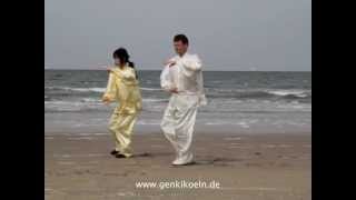 Taijiquan 24er Form [upl. by Erodeht]