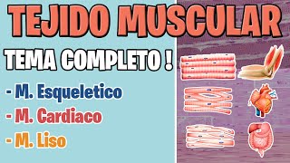 TEJIDO MUSCULAR HISTOLOGIA  MUSCULO ESQUELETICO CARDIACO Y LISO [upl. by Lael]