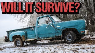 BARN FIND 1979 Dodge D100 Step Side  Will It Run Drive amp Work After Sitting for Years [upl. by Reed134]