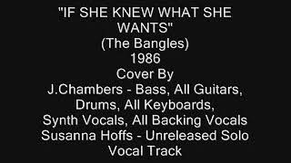 If She Knew What She Wants  Cover The Bangles [upl. by Aneetak85]