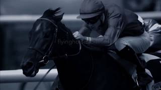 Whatever It Takes Horse Racing Music Video [upl. by Wan]