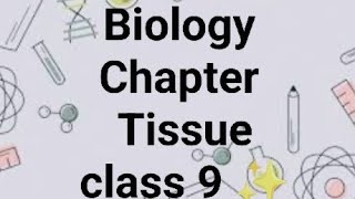 chapter tissue class 9 ✨ [upl. by Coralyn]