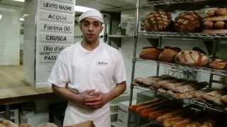 Bricco Panetteria  Boston Phantom Gourmet [upl. by Miner412]