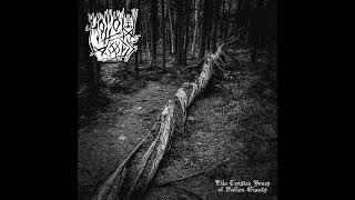 Hollow Woods  Like Twisted Bones of Fallen Giants Full Album Premiere [upl. by Finah829]