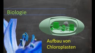 Aufbau von Chloroplasten [upl. by Cirad]