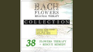 Scleranthus Eft Dose Therapy Binaural Real Frequency from Bach Flowers [upl. by Evilc714]