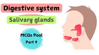 Salivary glands  Digestive System  gross anatomy  MCQs pool  part 9 [upl. by Eteragram813]