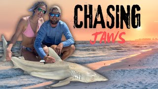 Catching Massive Sharks in the Gulf on the last day [upl. by Kenelm]