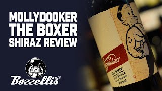 quotMollydookerquot The Boxer Shiraz 2018 Review  Mike Bozzelli  Bozzellis Wine TV [upl. by Ellett358]