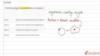 Chief advantage of encystment to an Amoeba is  12  KINGDOM PROTISTA UNICELLULAR EUKARYOTES [upl. by Eineeuq]