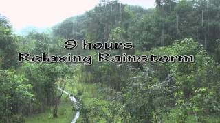 Heavy Rainfall Thunder soundsSleepRelaxFocusMeditateHD 1080p [upl. by Shwalb]