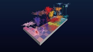 Cell Type Taxonomies A to Z Cross Species Cell Types [upl. by Eiznekam209]