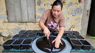 Process Making Jelly Goes to market sell  Cooking with my maternal family  Lý Thị Ca [upl. by Preston]