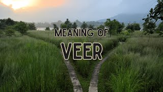 What is the meaning of Veer [upl. by Yelsel63]