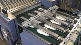 Rotary Die Cutting 4 Up Specialty Folded Product [upl. by Aldarcie]