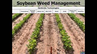 Dr Daniel Stephenson  Weed Control Programs in Corn Cotton Grain Sorghum and Soybeans [upl. by Kyte]