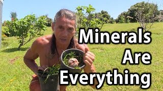 Minerals Are Everything  Tip Of The Day  Dr Robert Cassar [upl. by Ozan]