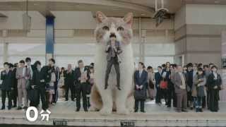 Japanese Cat Commercial CM [upl. by Valerle]