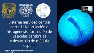 Sistema Nervioso Central Embriología I [upl. by Adieren919]