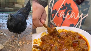 Kadaknath Chicken খেতে ঠিক কেমন  অনেক দিন পর বাবা লাল লাল করে কালো মুরগি রান্না করলো👨‍🍳🍗 [upl. by Marlee]