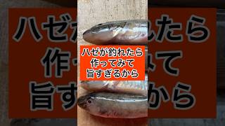 ハゼが釣れたら作ってみて、旨すぎるから（塩昆布締め） [upl. by Nerred225]