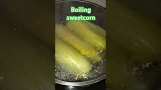 Boiling sweetcornDinnerNo Rice shorts asmr satisfying youtubeshorts shortsfeed [upl. by Klockau]